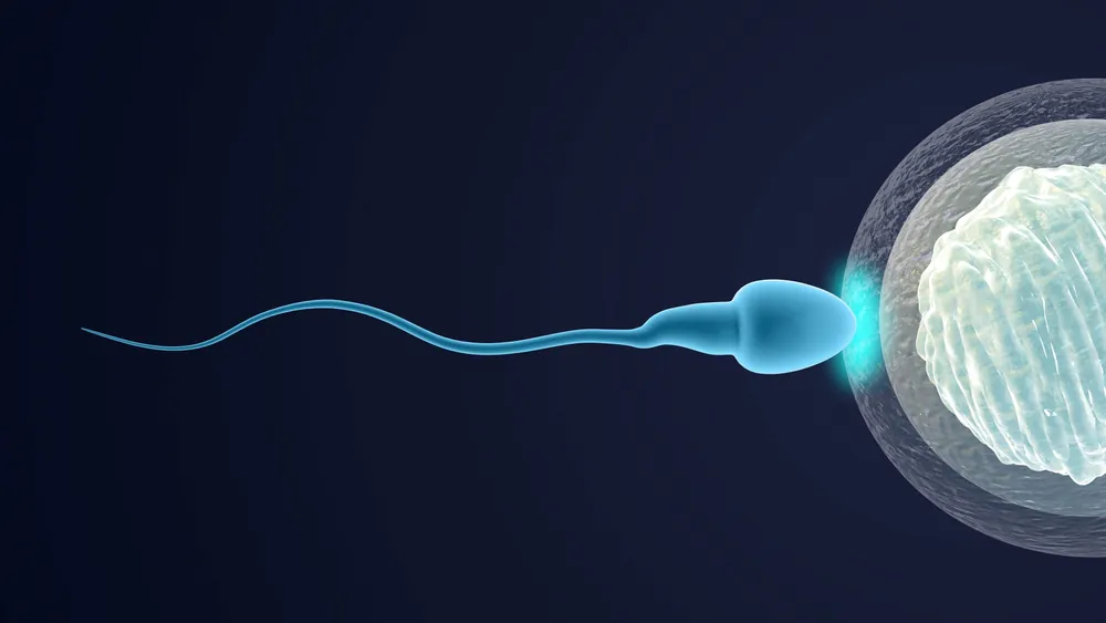 प्रेगनेंसी में स्पर्म अंदर जाने से क्या होता है?