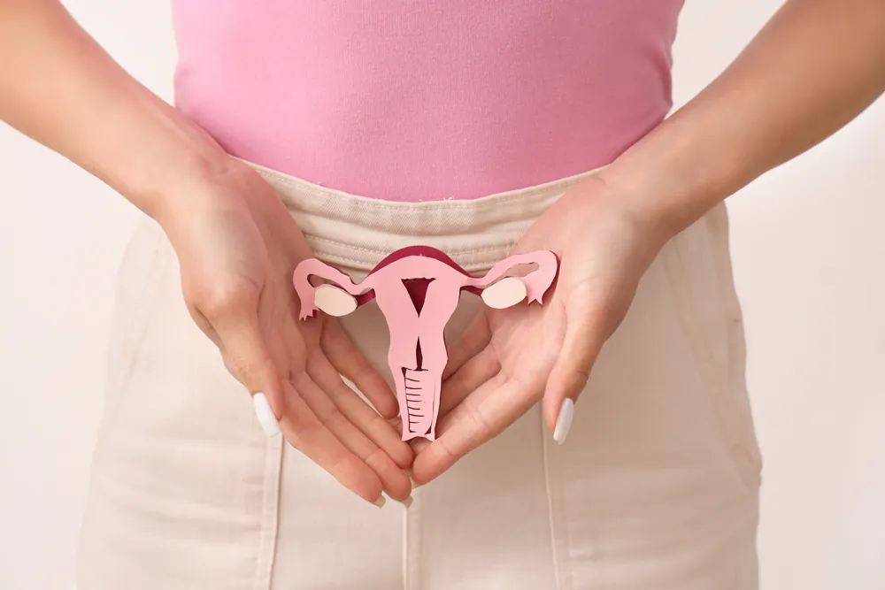 गर्भाशय क्या है (Uterus Meaning in Hindi)